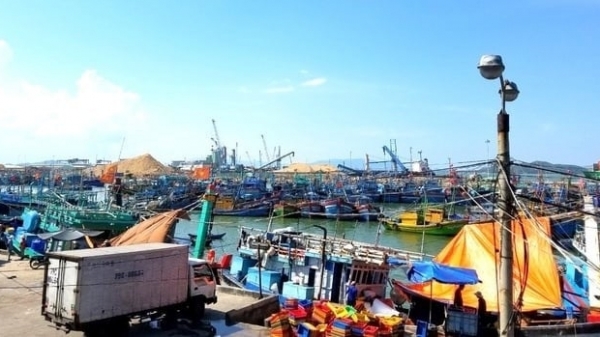Fishing port infrastructure - decisive factor in combating IUU fishing